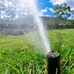 irrigation