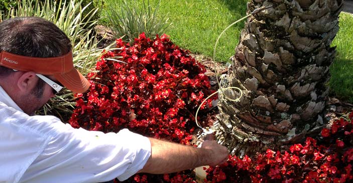 Tree & Shrub Care in Lake Wales, Florida