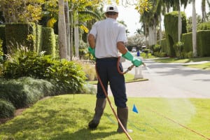 Weed, Disease & Fungus Control