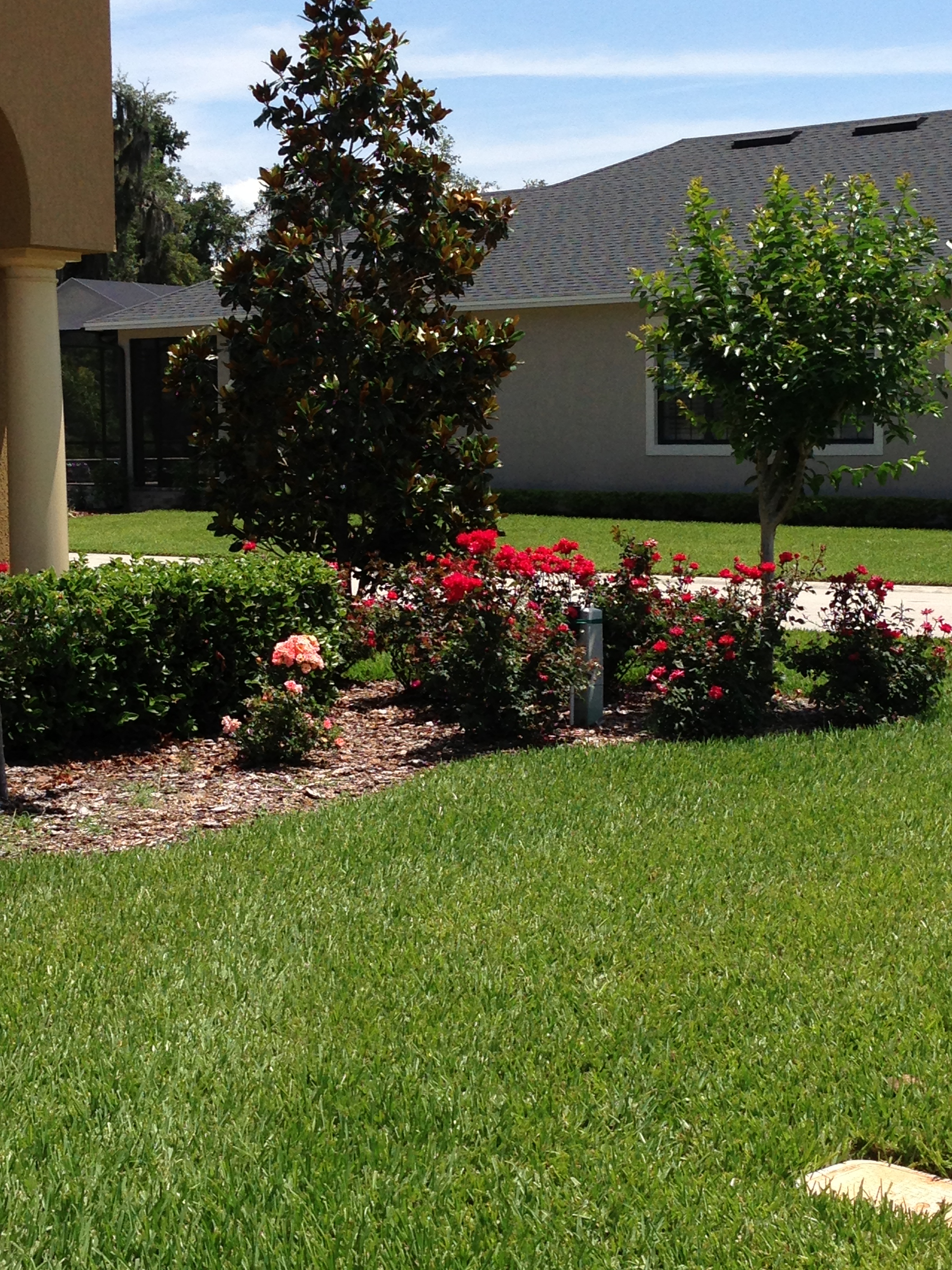 Shrub Treatments Lakeland The Other Side Pest Control Inc