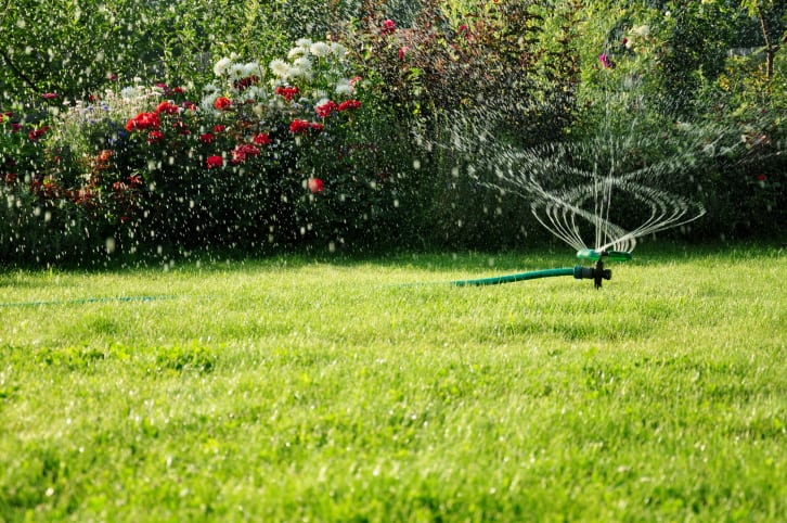 Irrigation Analysis in Plant City, Florida