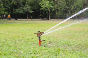 Irrigation Systems in Davenport, Florida
