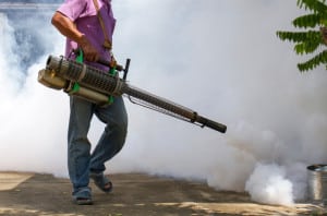Mosquito Spraying