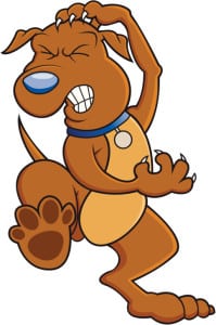 flea control services