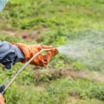 Lawn Spraying