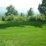 Lawn Fertilization