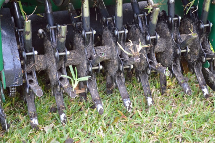 Core Aeration in Plant City, Florida
