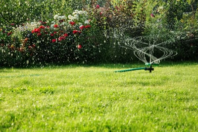 Irrigation Analysis in Auburndale, Florida