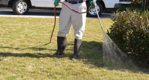 Lawn Spraying Services in Winter Haven, Florida