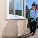 Insect Removal in Plant City, Florida