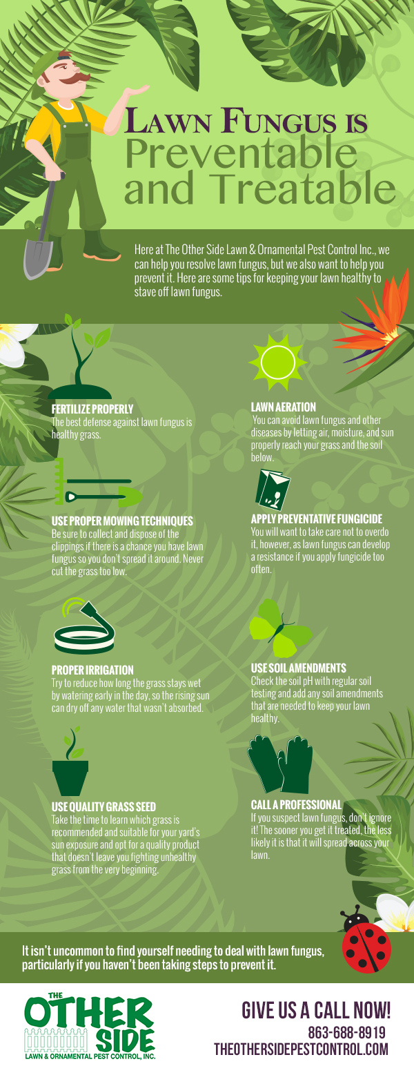 Lawn Fungus is Preventable and Treatable [infographic]
