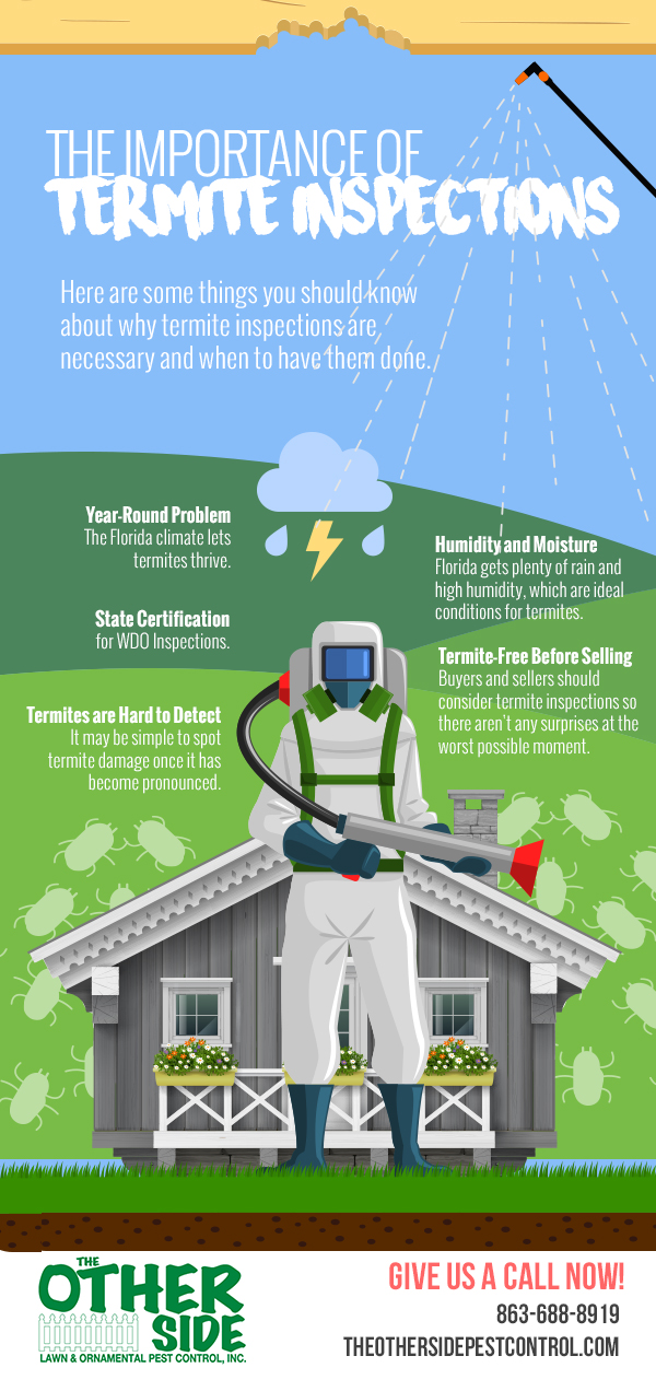 The Importance of Termite Inspections [infographic]