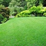Why Lawn Fertilization is Important
